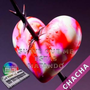 Espinita (Chachacha) Varios (AMR)