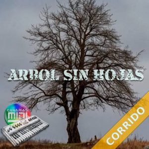 Arbol Sin Hojas (Corrido) Varios (AMR)